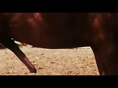 赤ちゃん赤ん坊は彼女の美しさを愛する男のための彼女の穴 スレンダー 美女 無料 動画