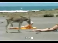 マッサージお尻 エロ 動画 スレンダー 熟女